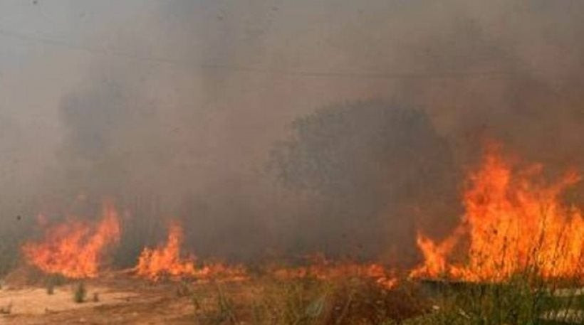 Μεγάλη πυρκαγιά σε αγροτοδασική έκταση στη Σητεία Κρήτης